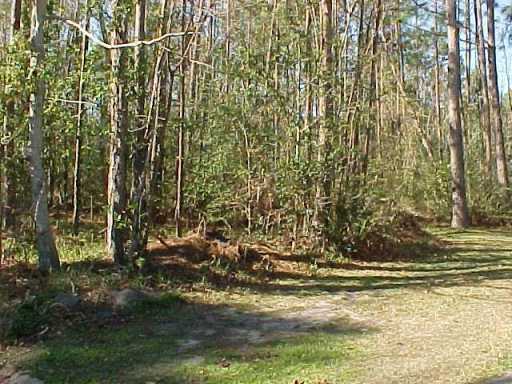 1816 Springridge Road Gautier, MS 39553 - Photo 3 of 3 Additional Photo