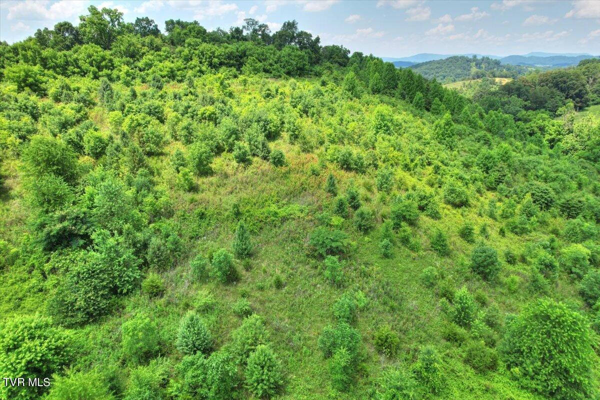 Tbd Harold Cemetery Road Greeneville, TN 37745 - Photo 8 of 26 10-DJI_0248_49_50