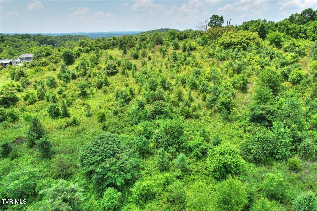 Tbd Harold Cemetery Road Greeneville, TN 37745 - Photo 9 of 26 11-DJI_0251_2_3