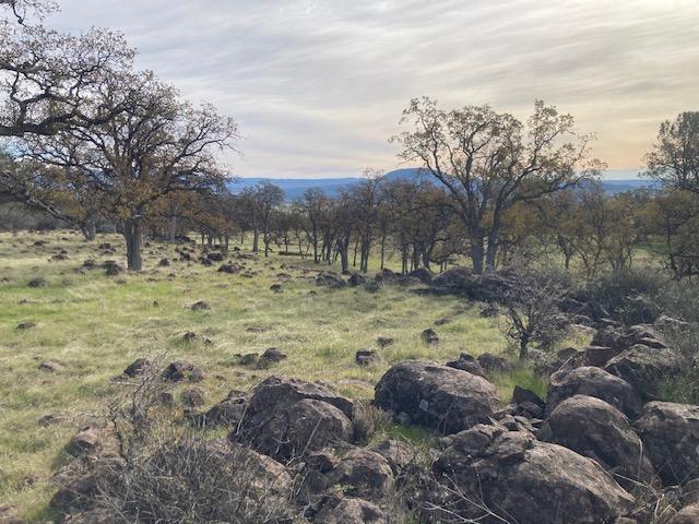 Campo Dios Road Shingletown, CA 96088 - Photo 4 of 7 Lava rock in the area