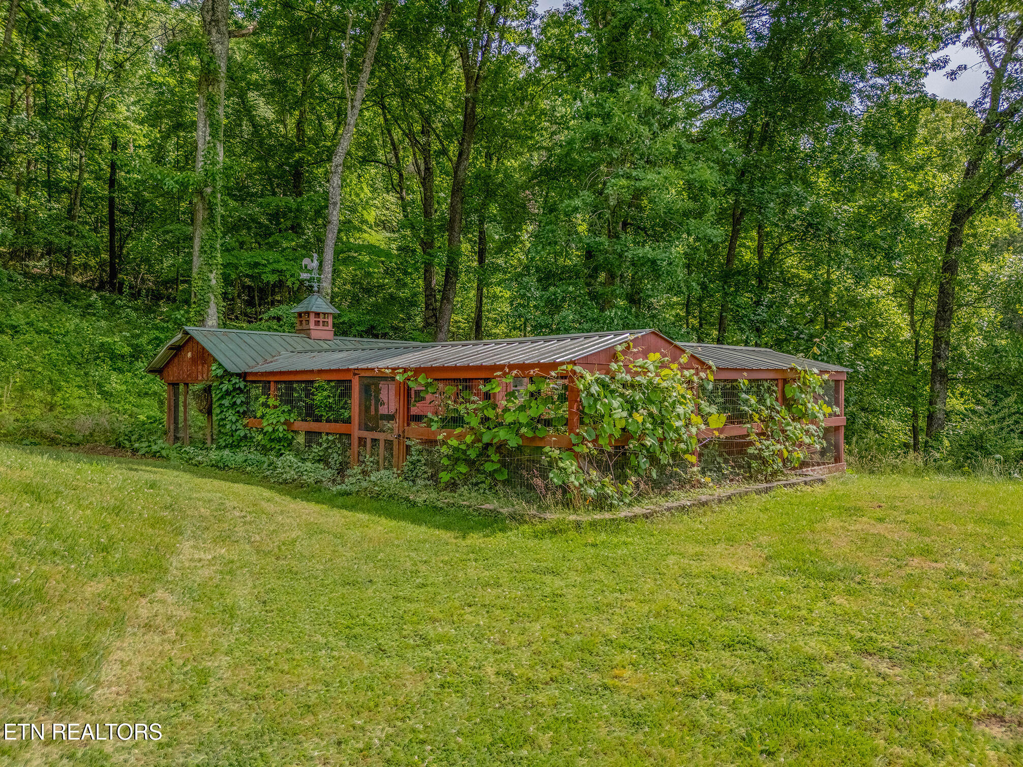 151 Gray Knob Road Kingston, TN 37763 - Photo 56 of 60 Chicken Mansion