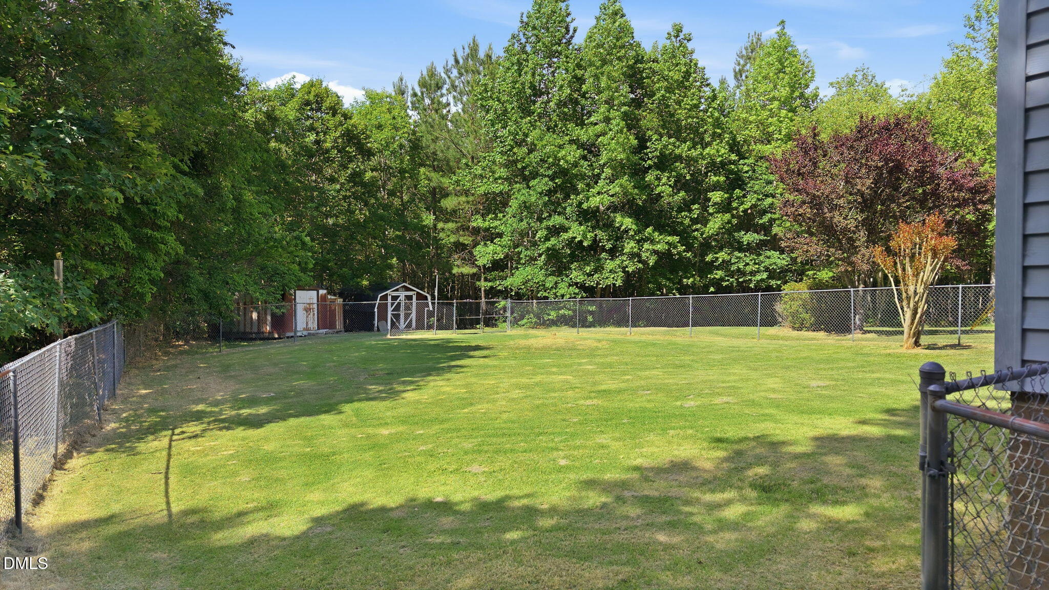 3602 Harrison Road Castalia, NC 27816 - Photo 11 of 48 a view of a trees in a yard