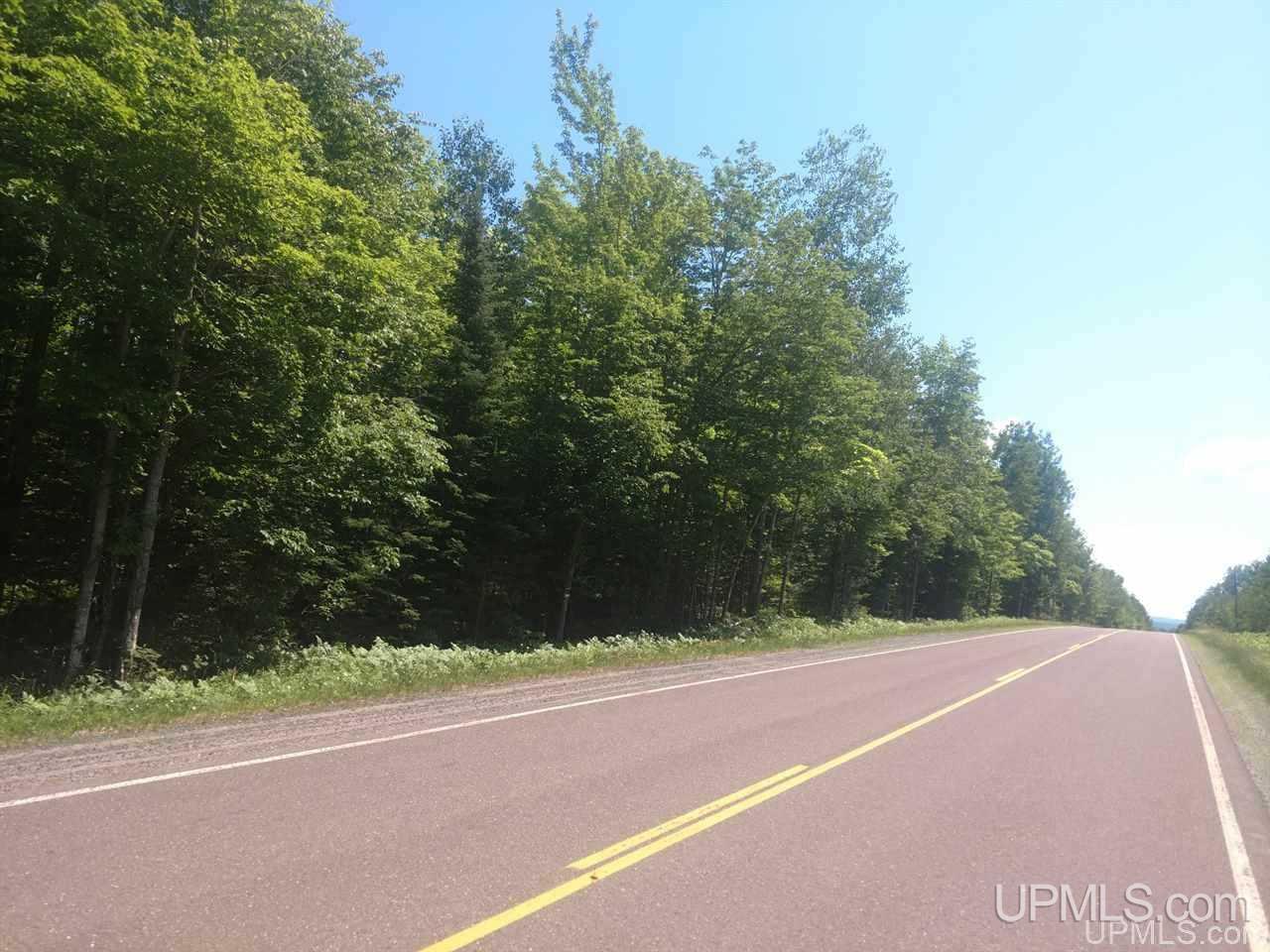 Tbd Karschney Road South Lanse, MI 49946 - Photo 3 of 11