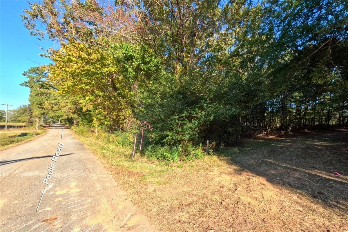 0 Poole Road Collinsville, MS 39325 - Photo 11 of 32