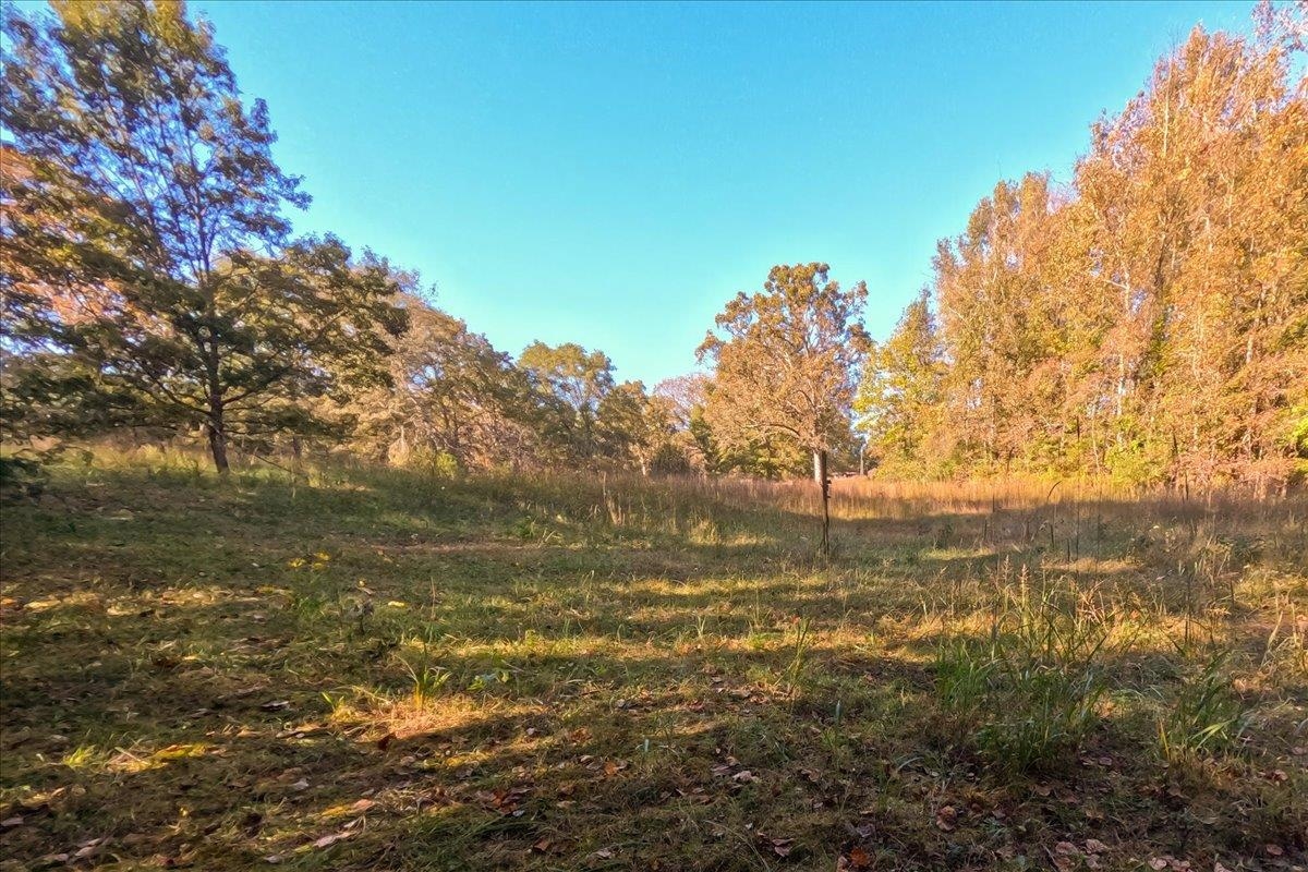 0 Poole Road Collinsville, MS 39325 - Photo 12 of 32