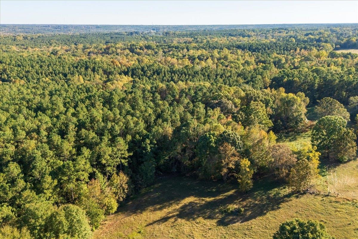 0 Poole Road Collinsville, MS 39325 - Photo 21 of 32