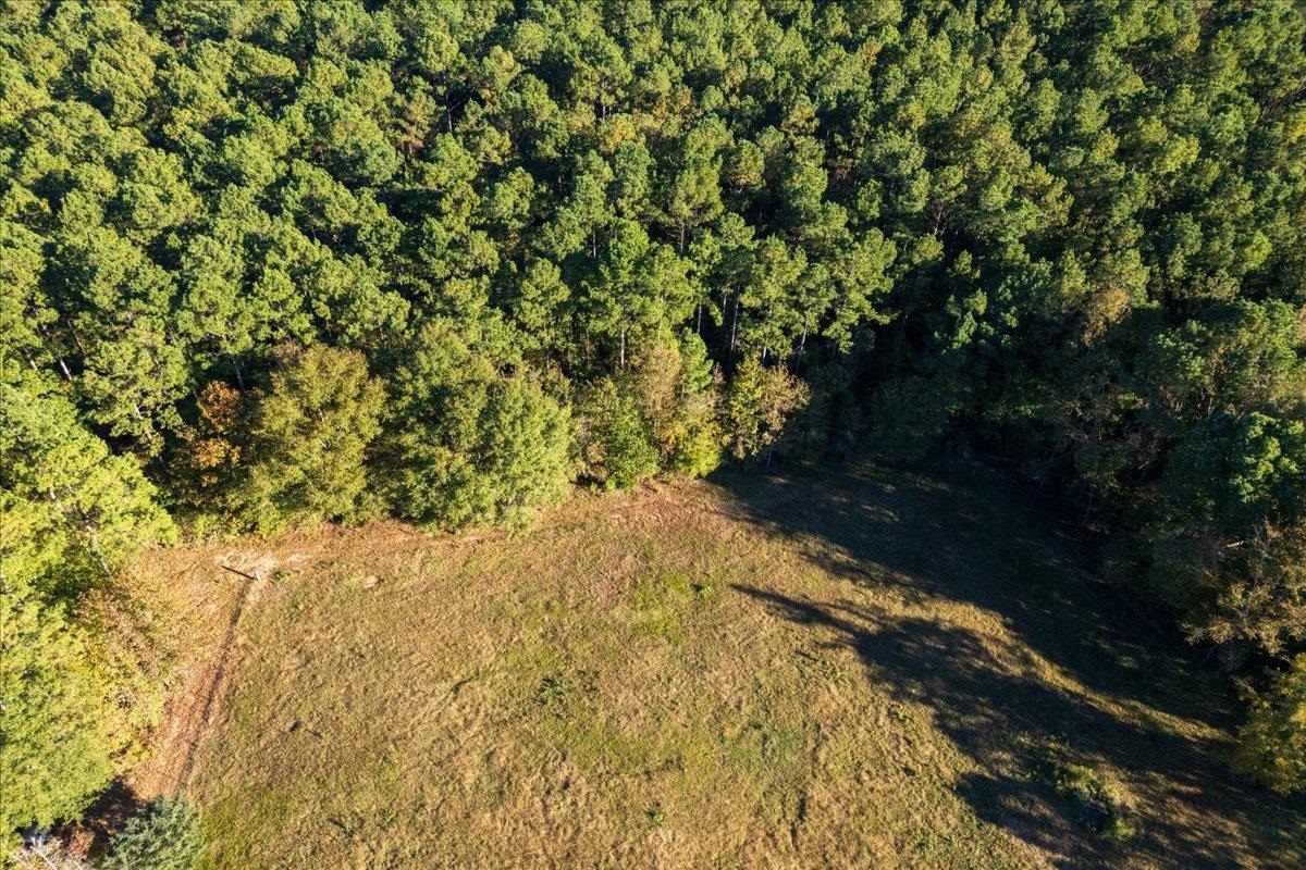 0 Poole Road Collinsville, MS 39325 - Photo 24 of 32