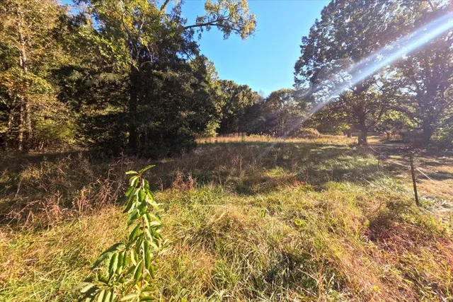 $200,000 | 0 Poole Road, Collinsville, MS 39325