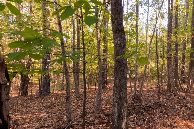 $200,000 | 0 Poole Road, Collinsville, MS 39325