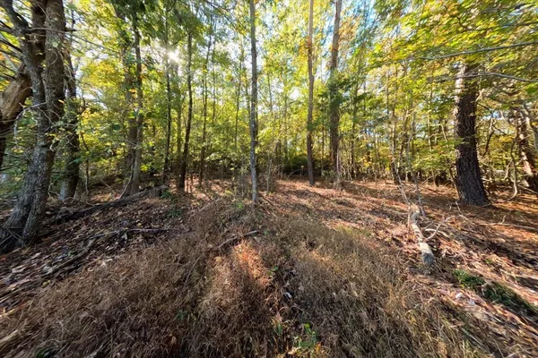 $200,000 | 0 Poole Road, Collinsville, MS 39325