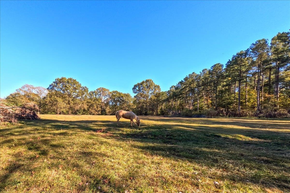 0 Poole Road Collinsville, MS 39325 - Photo 7 of 32