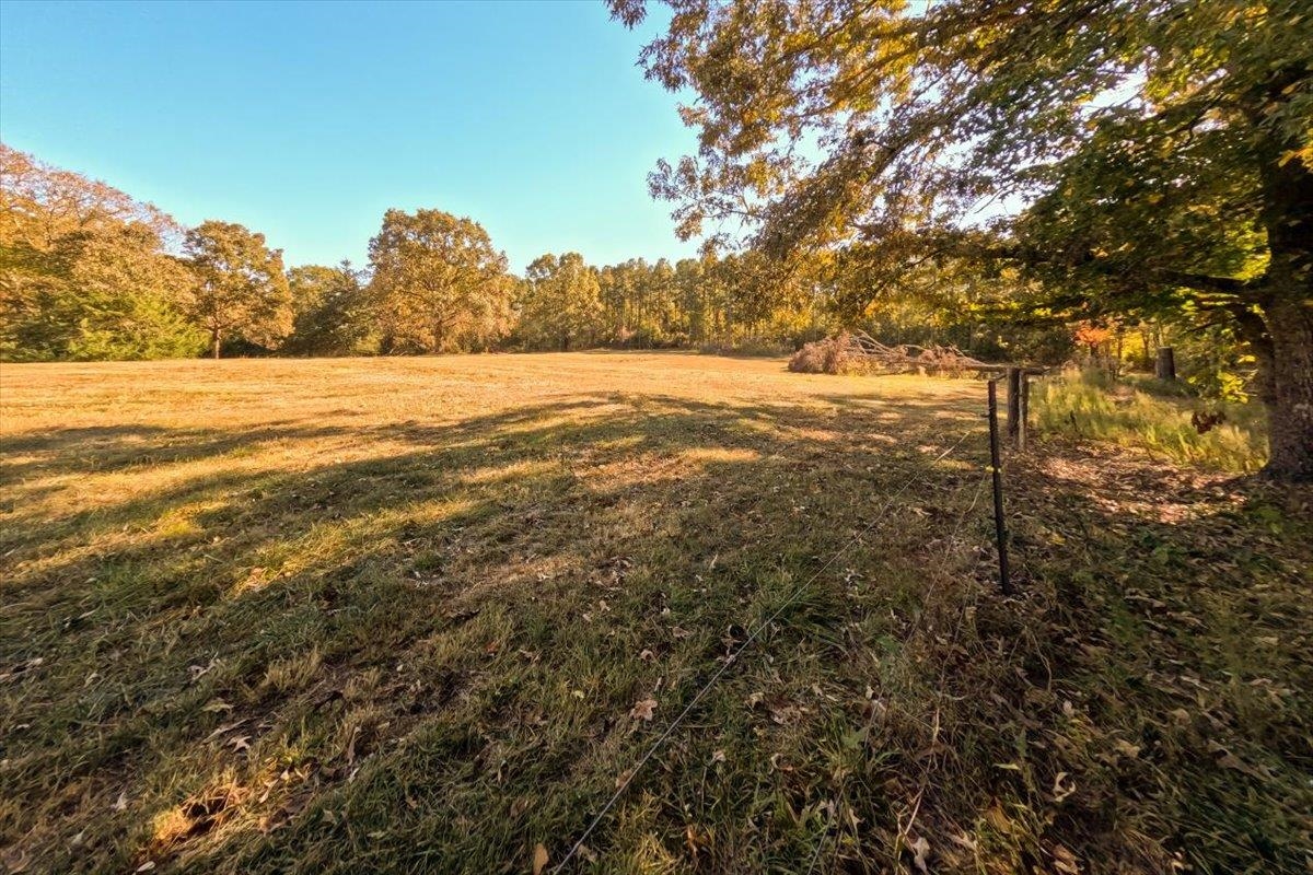 0 Poole Road Collinsville, MS 39325 - Photo 8 of 32