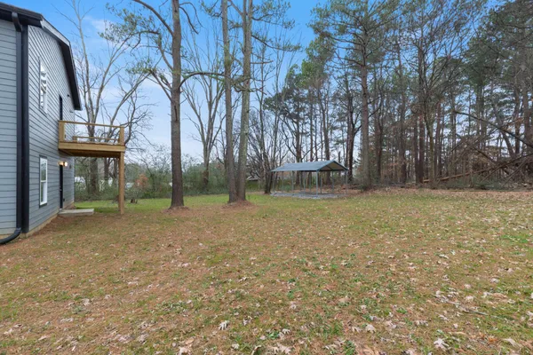 a view of a yard with a tree