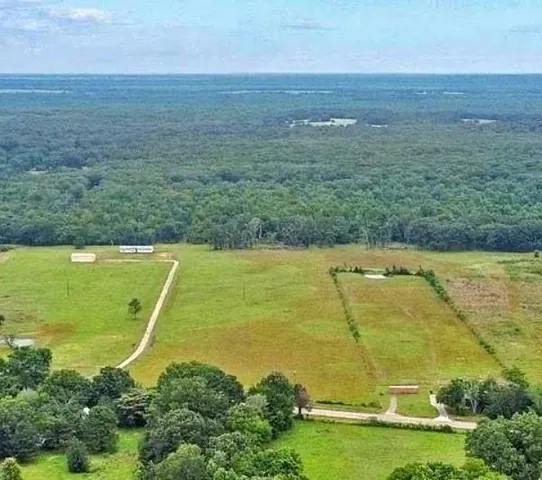 a view of a large pool with lawn chairs and plants