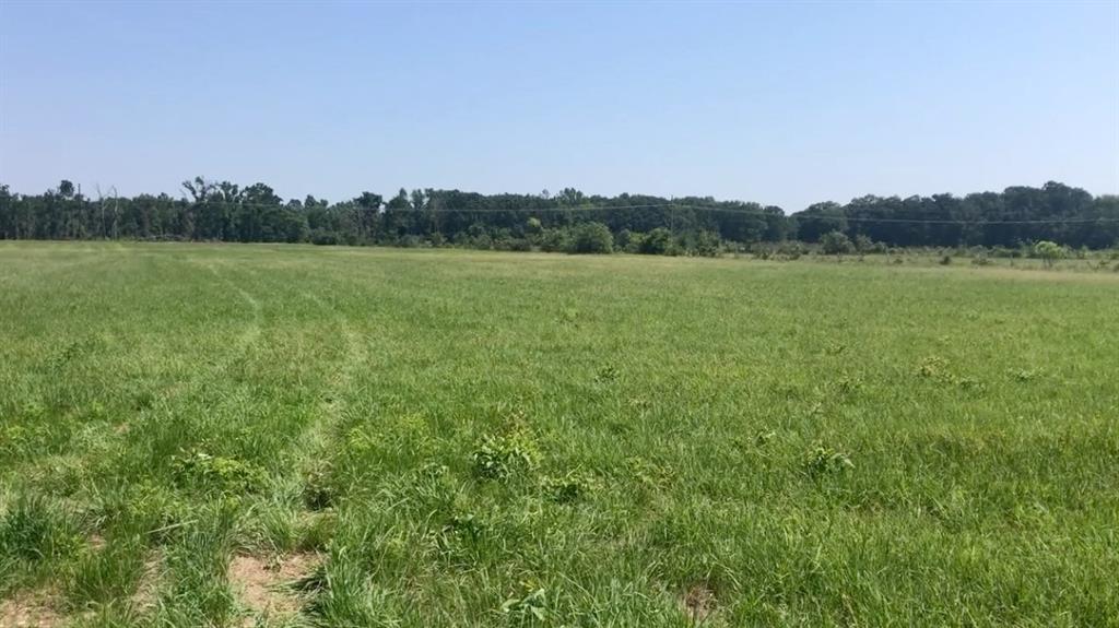 560 West Fm-71 Mount Mount Pleasant, TX 75455 - Photo 3 of 5