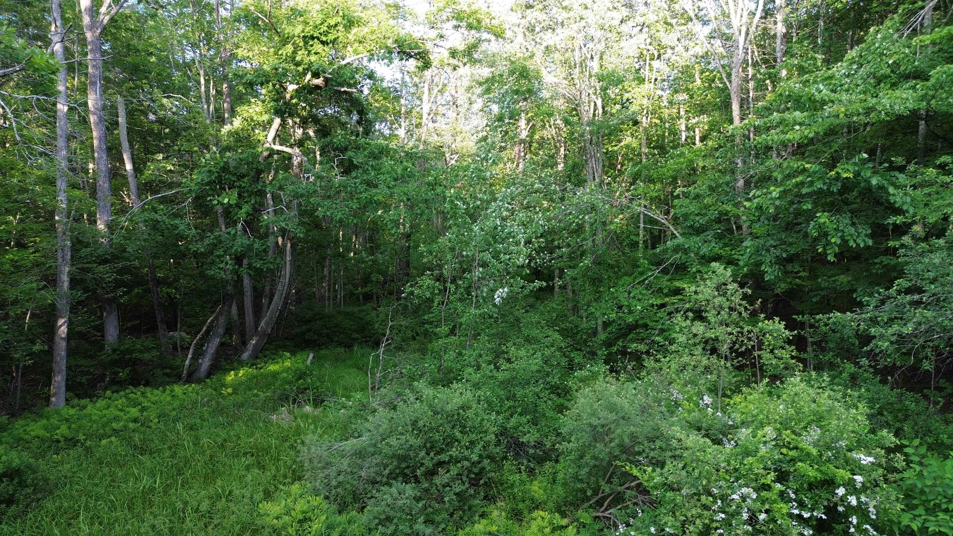 46-2 & 47 Route 153 Middleton, NH 03887 - Photo 11 of 16