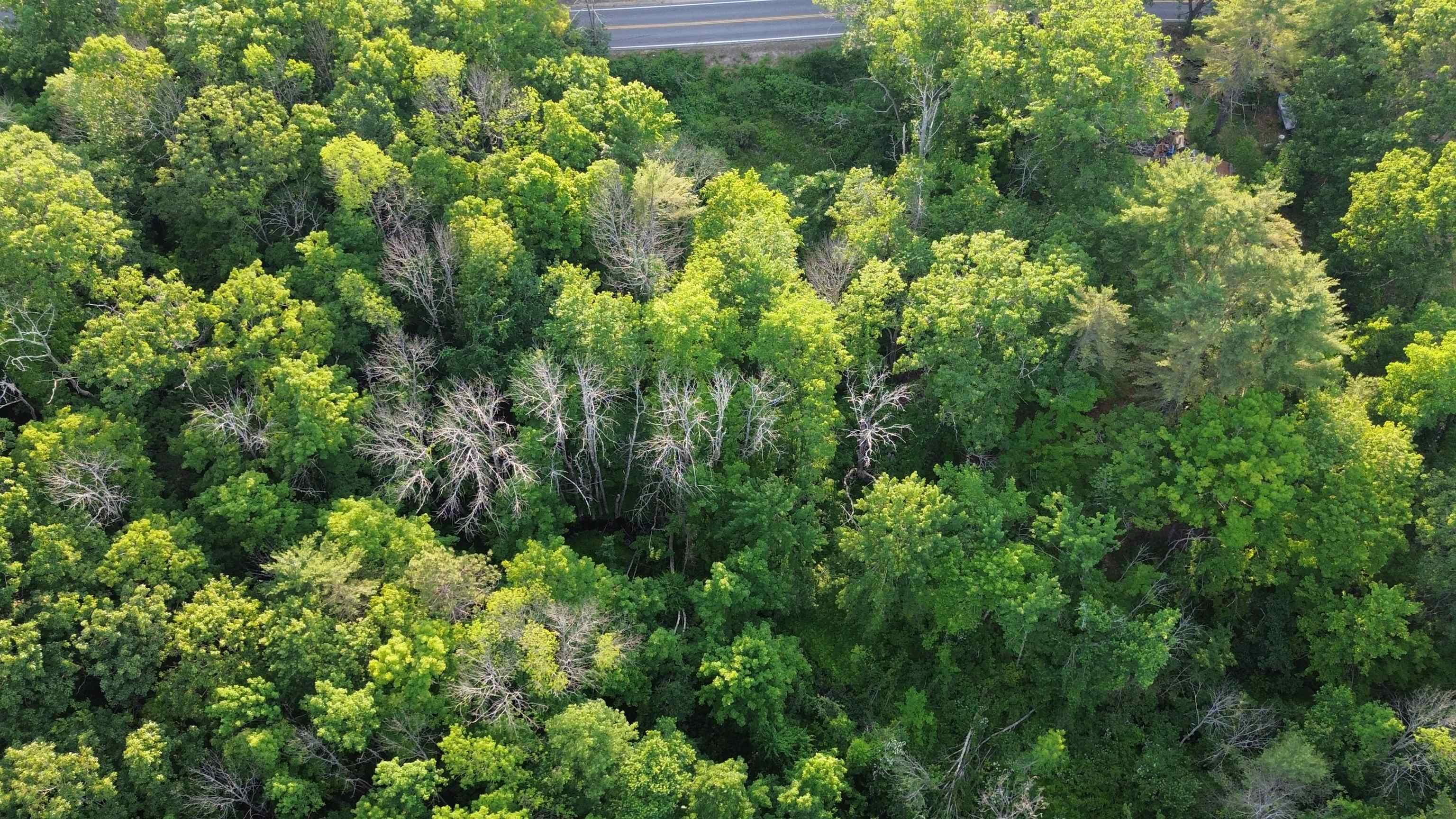46-2 & 47 Route 153 Middleton, NH 03887 - Photo 12 of 16
