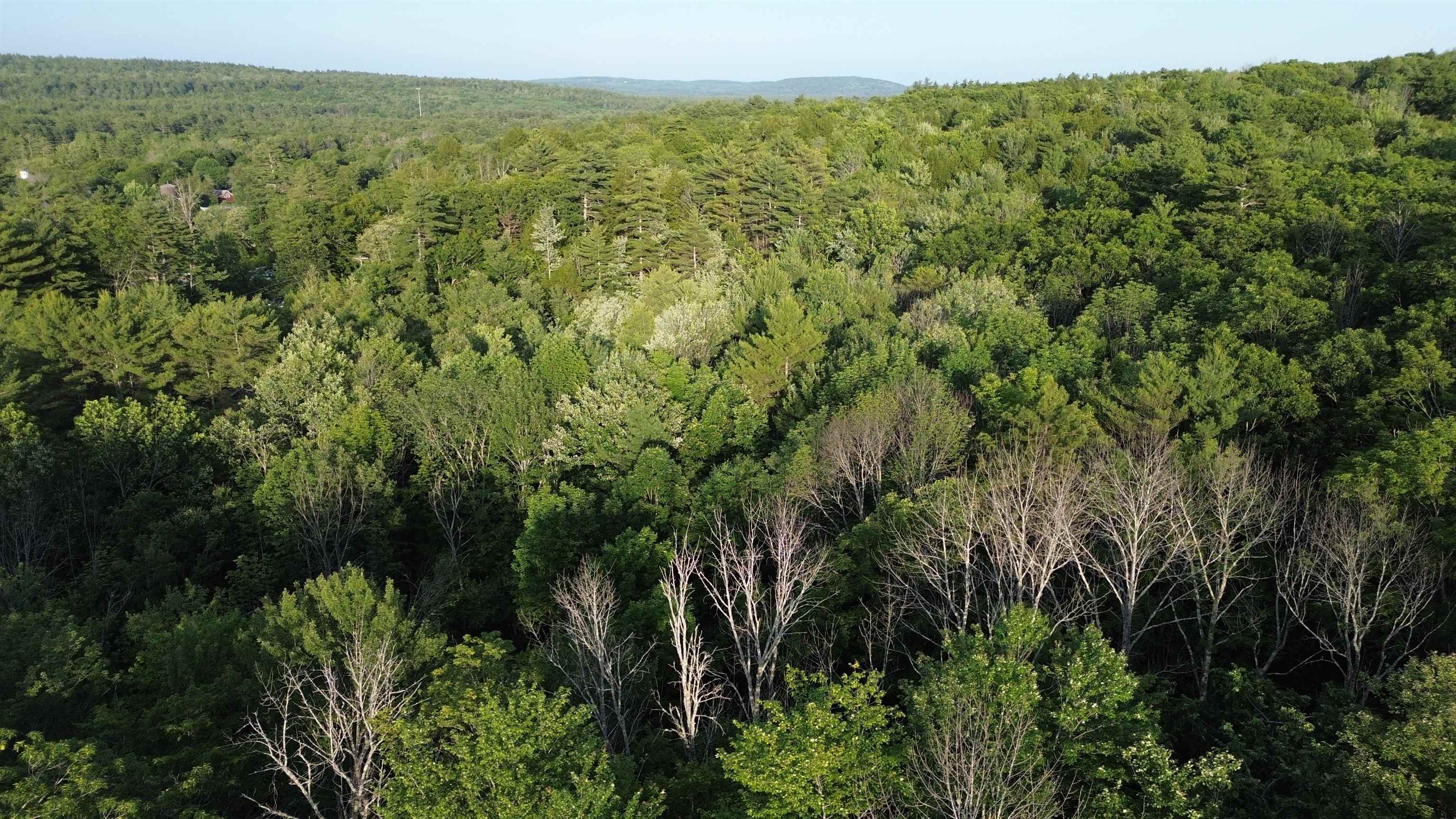 46-2 & 47 Route 153 Middleton, NH 03887 - Photo 16 of 16