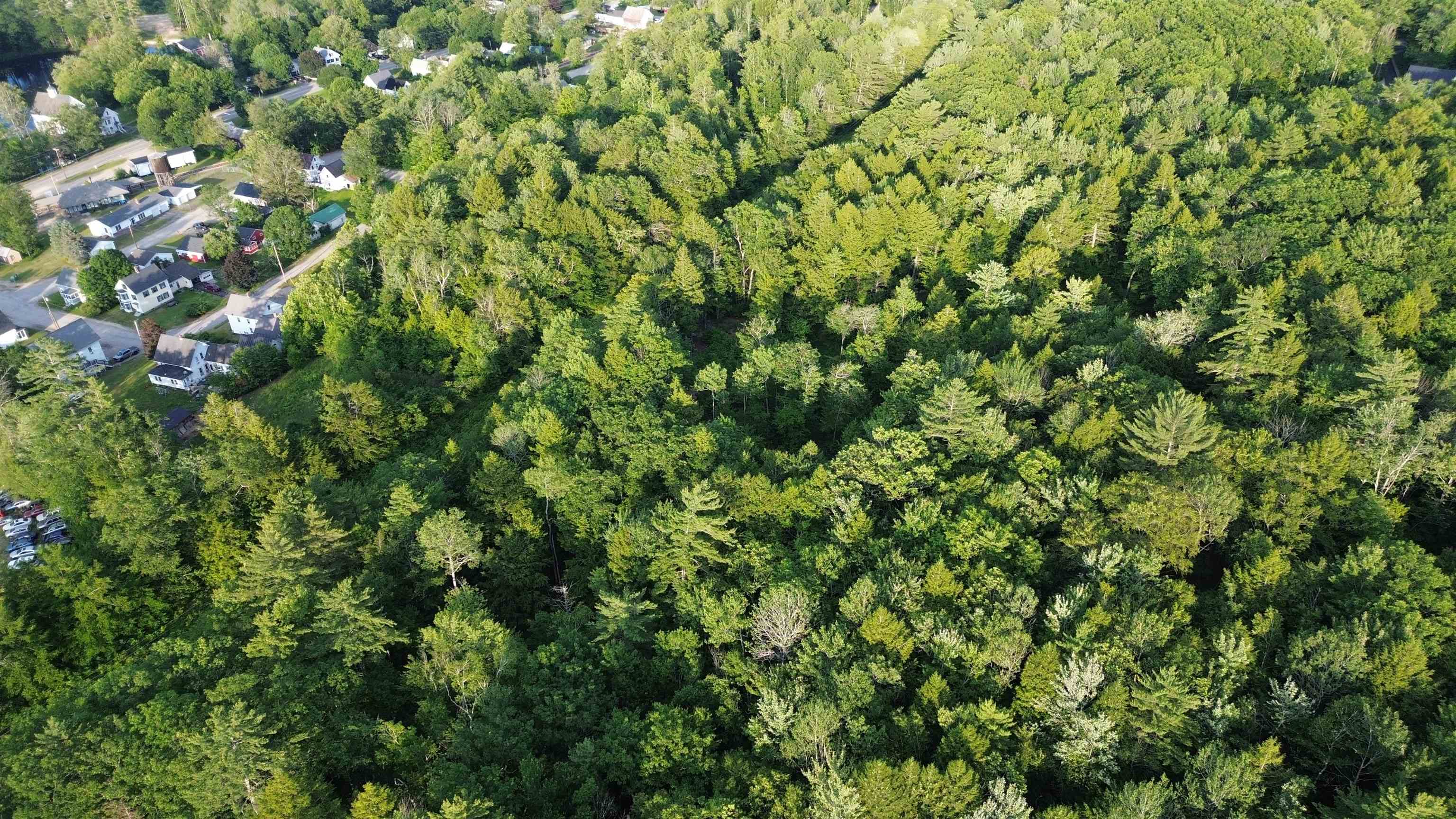 46-2 & 47 Route 153 Middleton, NH 03887 - Photo 9 of 16