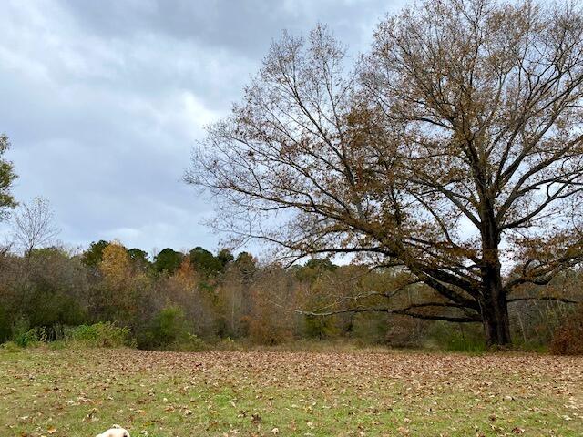1639 Tennga Gregory Road Crandall, GA 30711 - Photo 34 of 53 IMG_0329