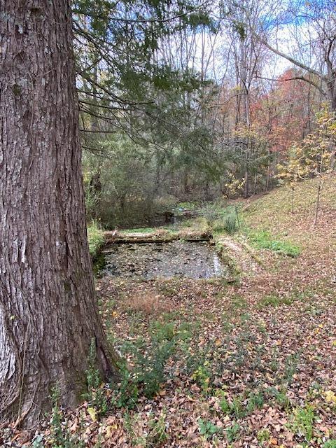 1639 Tennga Gregory Road Crandall, GA 30711 - Photo 36 of 53 IMG_0355