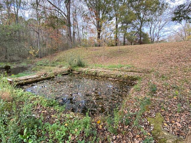 1639 Tennga Gregory Road Crandall, GA 30711 - Photo 38 of 53 IMG_0350