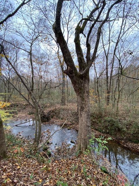 1639 Tennga Gregory Road Crandall, GA 30711 - Photo 42 of 53 IMG_0338