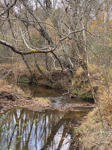 1639 Tennga Gregory Road Crandall, GA 30711 - Photo 43 of 53 IMG_0341