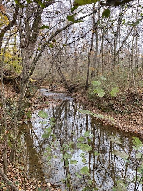 1639 Tennga Gregory Road Crandall, GA 30711 - Photo 44 of 53 IMG_0332