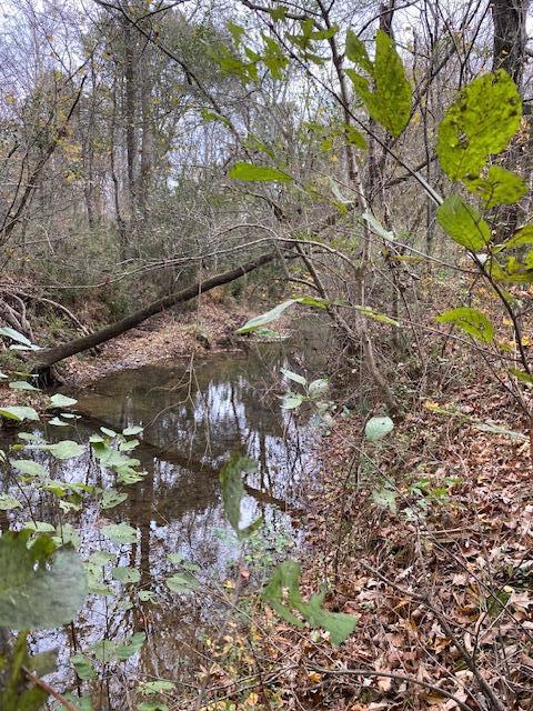 1639 Tennga Gregory Road Crandall, GA 30711 - Photo 45 of 53 IMG_0333