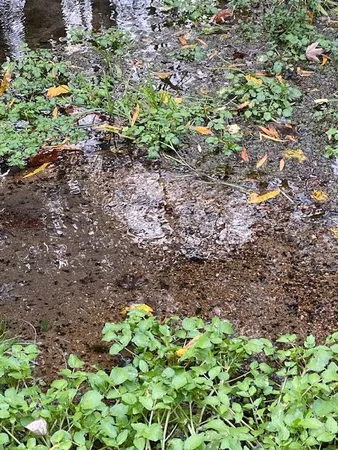 $500,000 | 1639 Tennga Gregory Road, Crandall, GA 30711