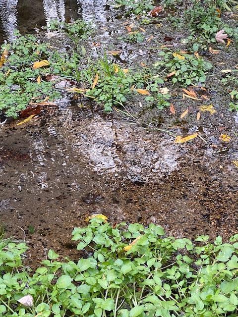 1639 Tennga Gregory Road Crandall, GA 30711 - Photo 46 of 53 IMG_0345