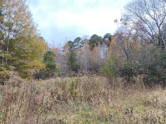 1639 Tennga Gregory Road Crandall, GA 30711 - Photo 48 of 53 IMG_0343