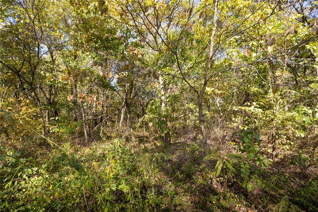 3697 Haynes Hill Road Bates City, MO 64011 - Photo 14 of 21