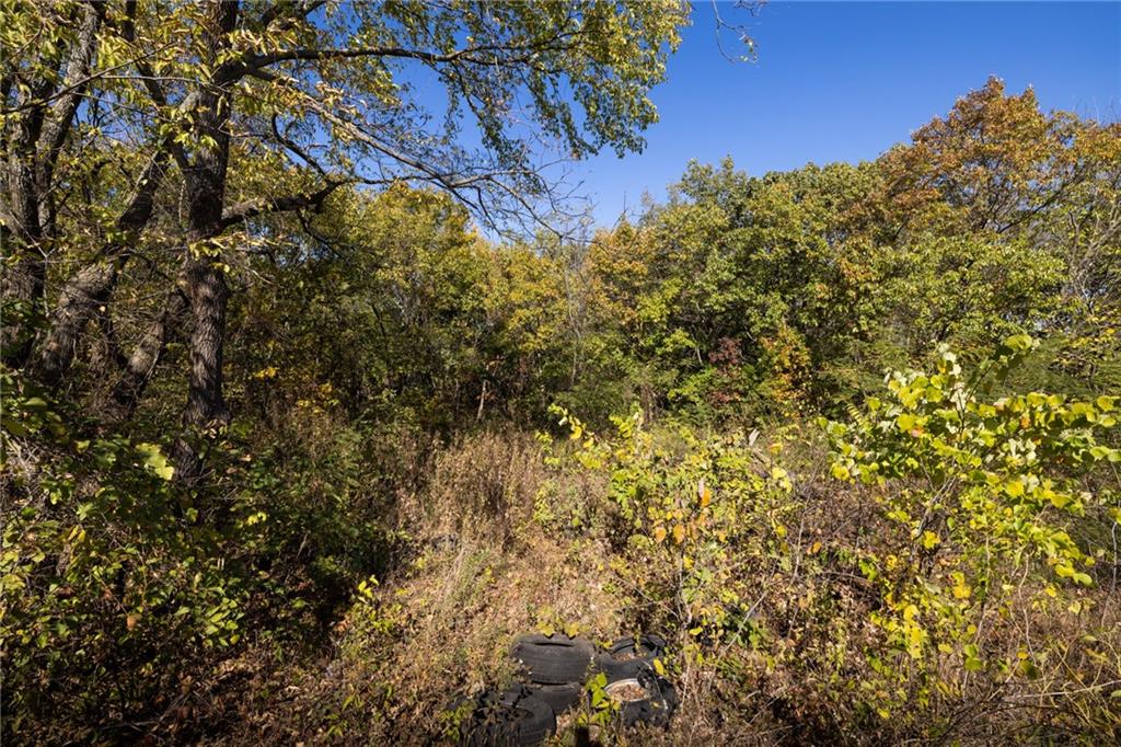 3697 Haynes Hill Road Bates City, MO 64011 - Photo 15 of 21