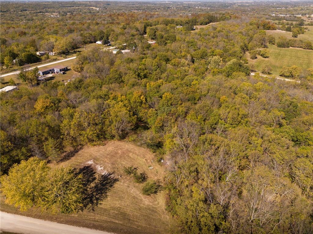 3697 Haynes Hill Road Bates City, MO 64011 - Photo 3 of 21