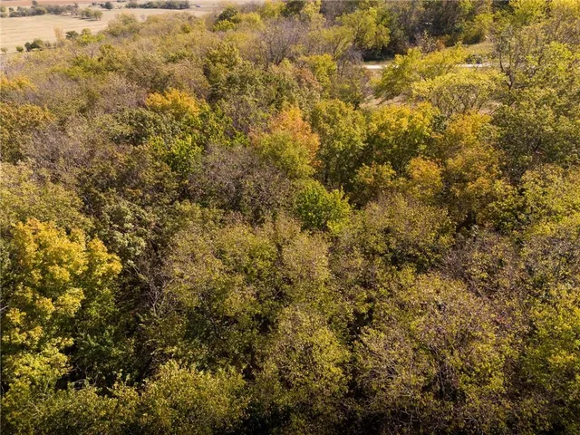 $65,000 | 3697 Haynes Hill Road, Bates City, MO 64011