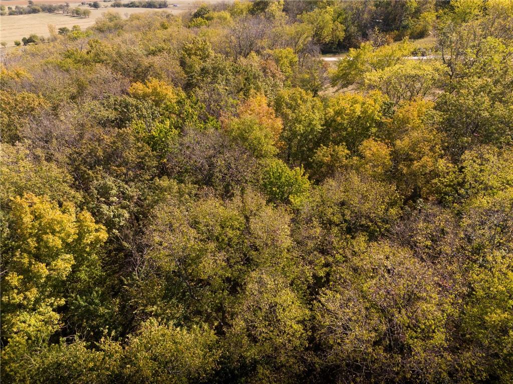 3697 Haynes Hill Road Bates City, MO 64011 - Photo 7 of 21