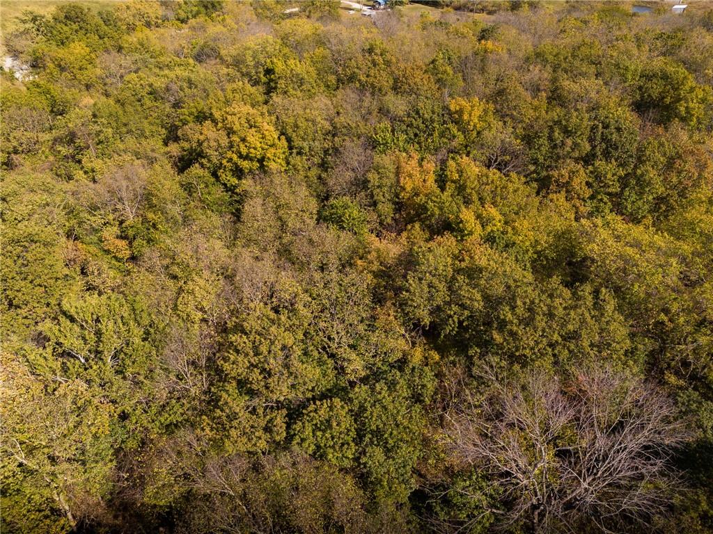 3697 Haynes Hill Road Bates City, MO 64011 - Photo 8 of 21