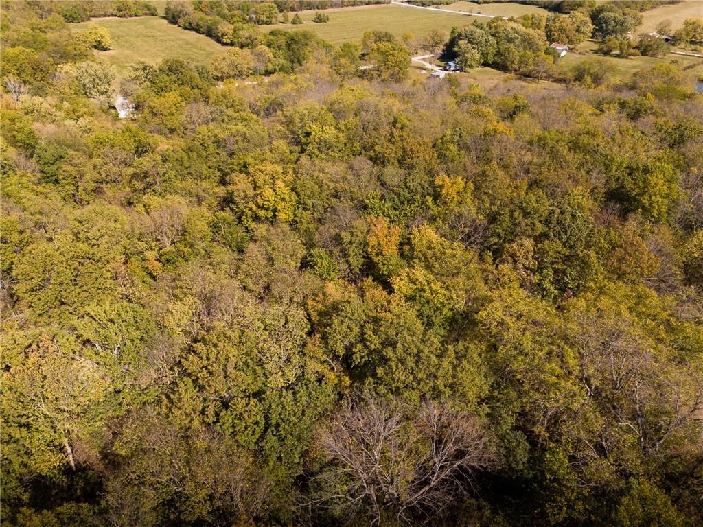 3697 Haynes Hill Road Bates City, MO 64011 - Photo 9 of 21