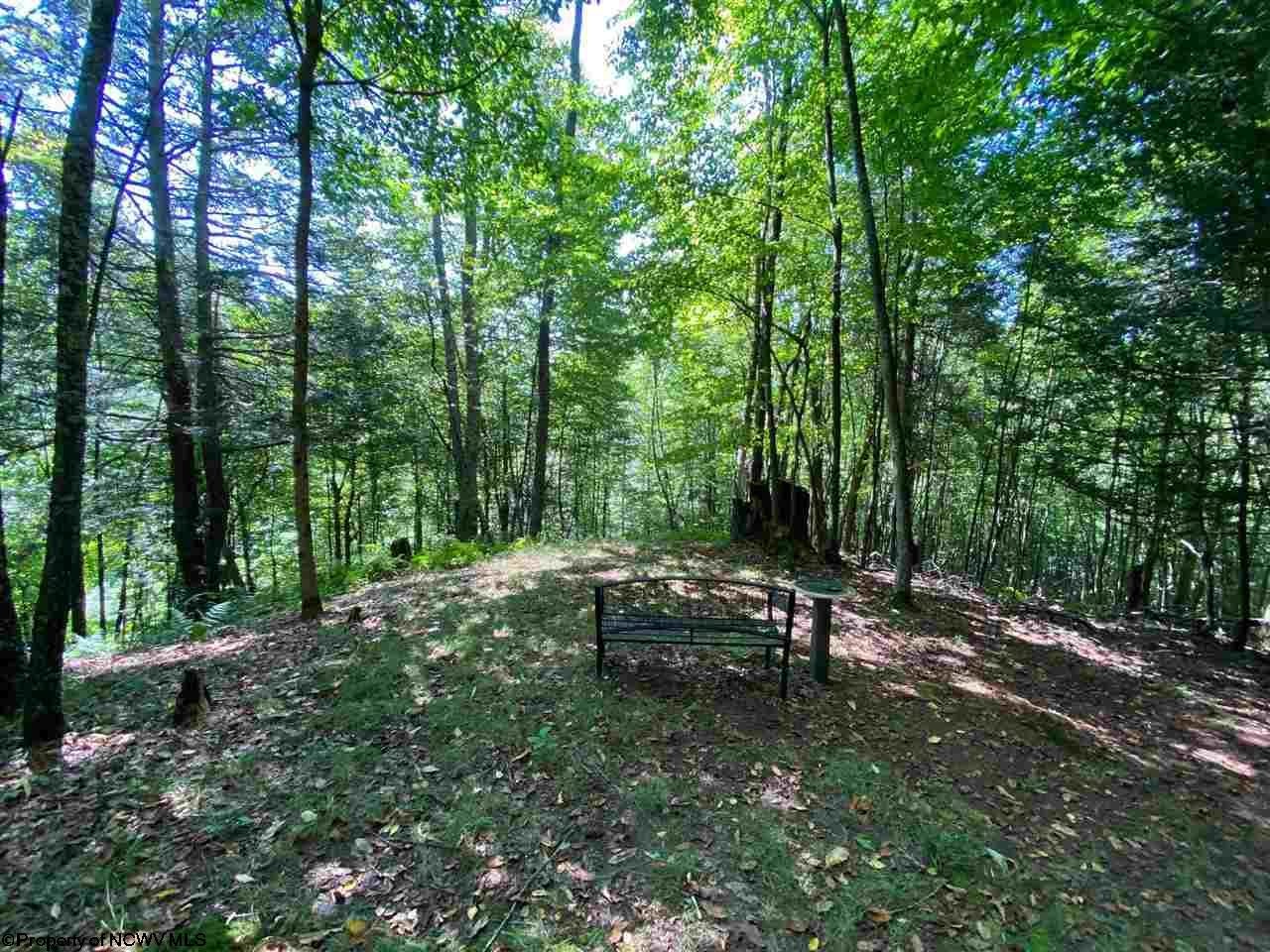 549 Co Rte 45/2 Red Creek, WV 26289 - Photo 15 of 21 Gallery Image 15