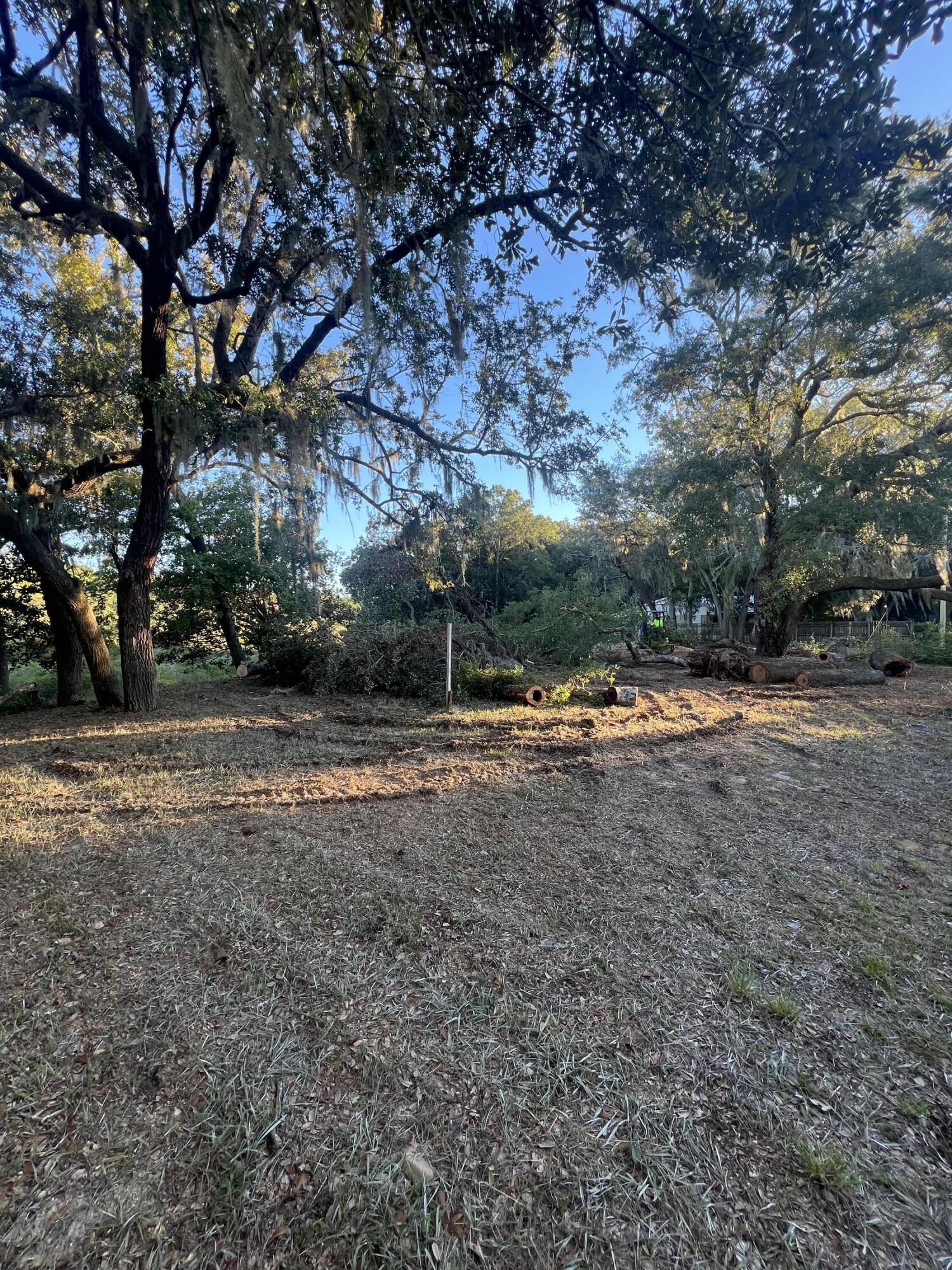 630 Satsuma Road Niceville, FL 32578 - Photo 13 of 15 a view of backyard with large trees