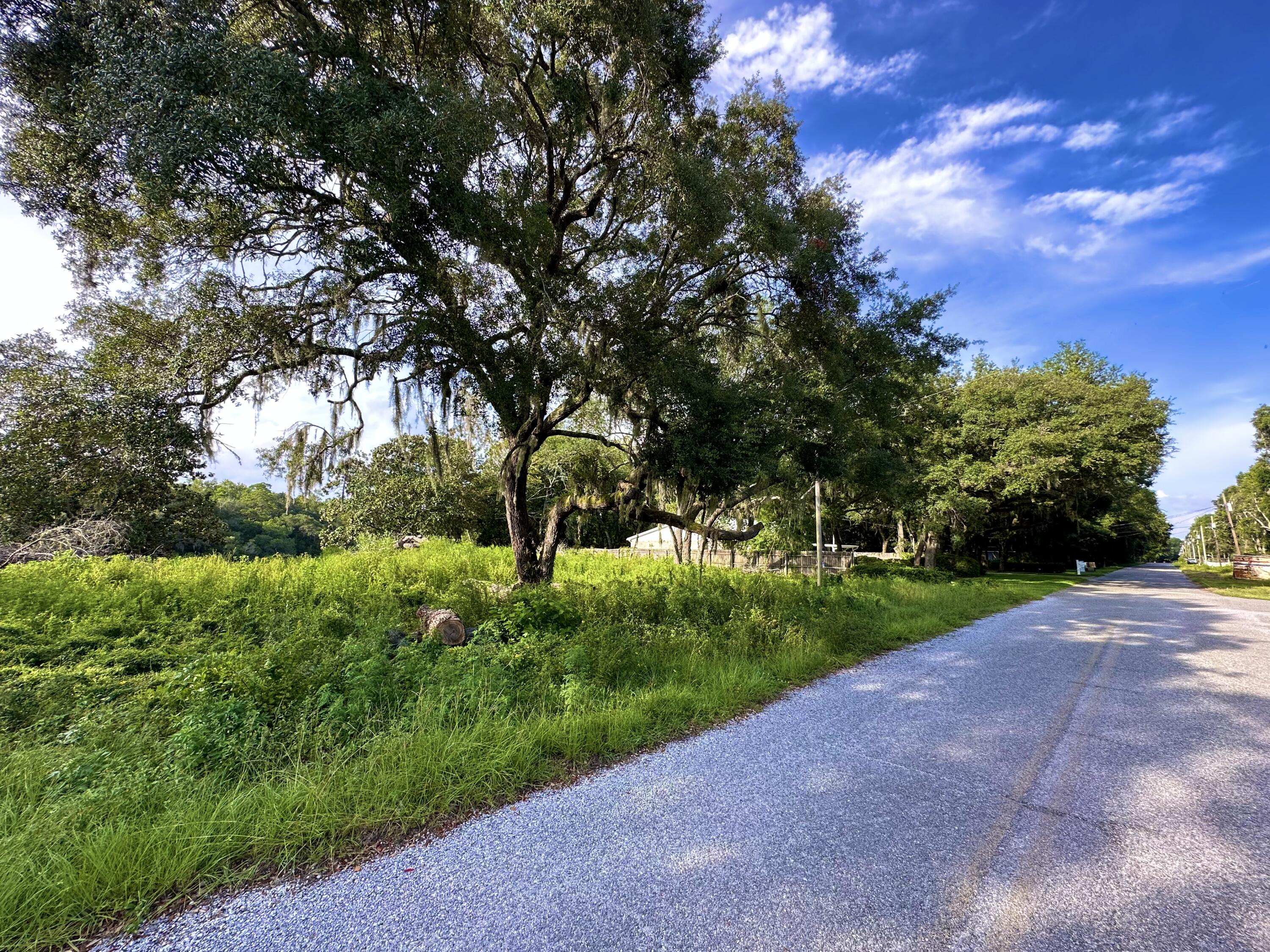 630 Satsuma Road Niceville, FL 32578 - Photo 2 of 15 a view of a street with a yard