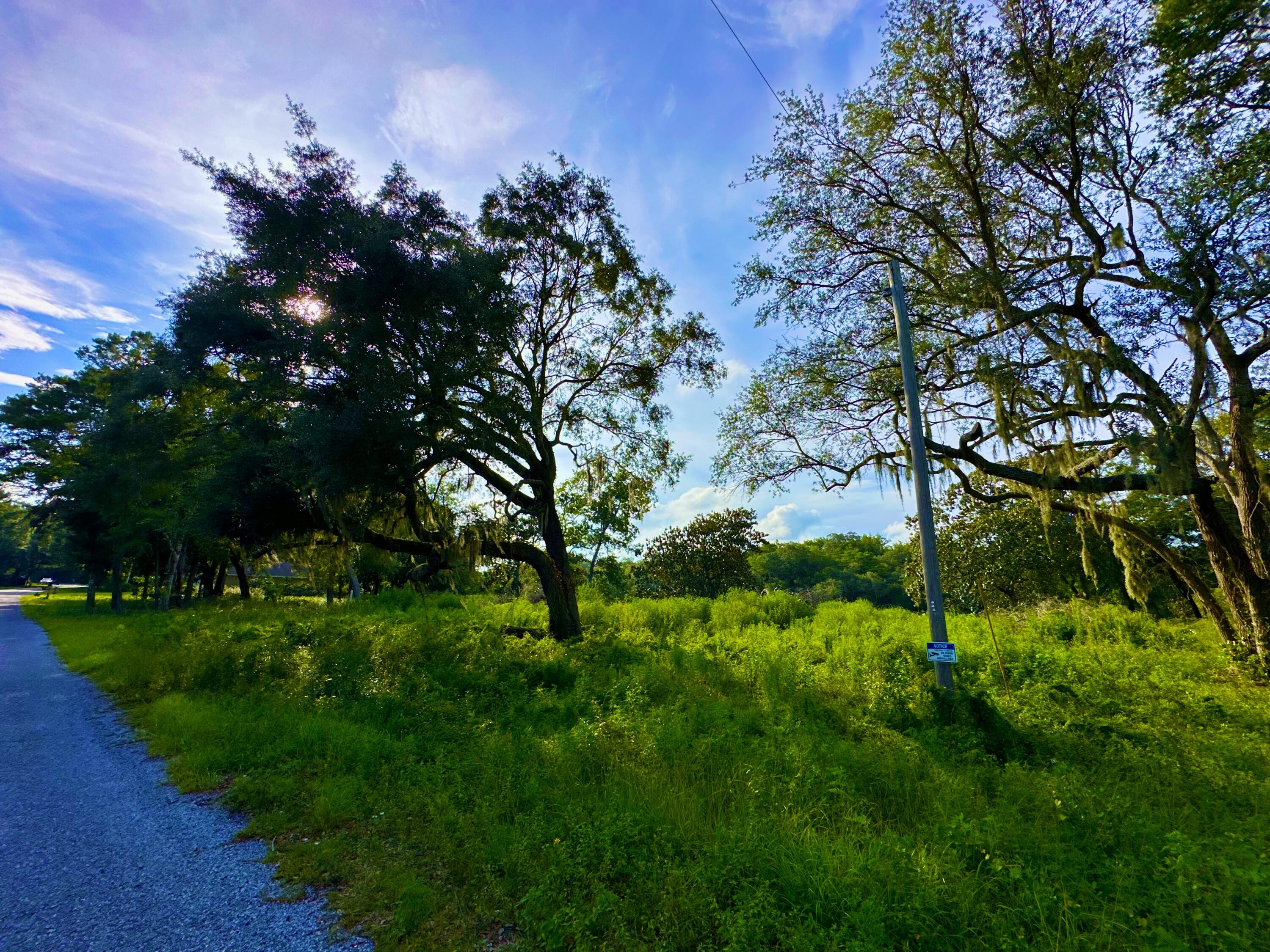 630 Satsuma Road Niceville, FL 32578 - Photo 9 of 15 a view of a lush green space