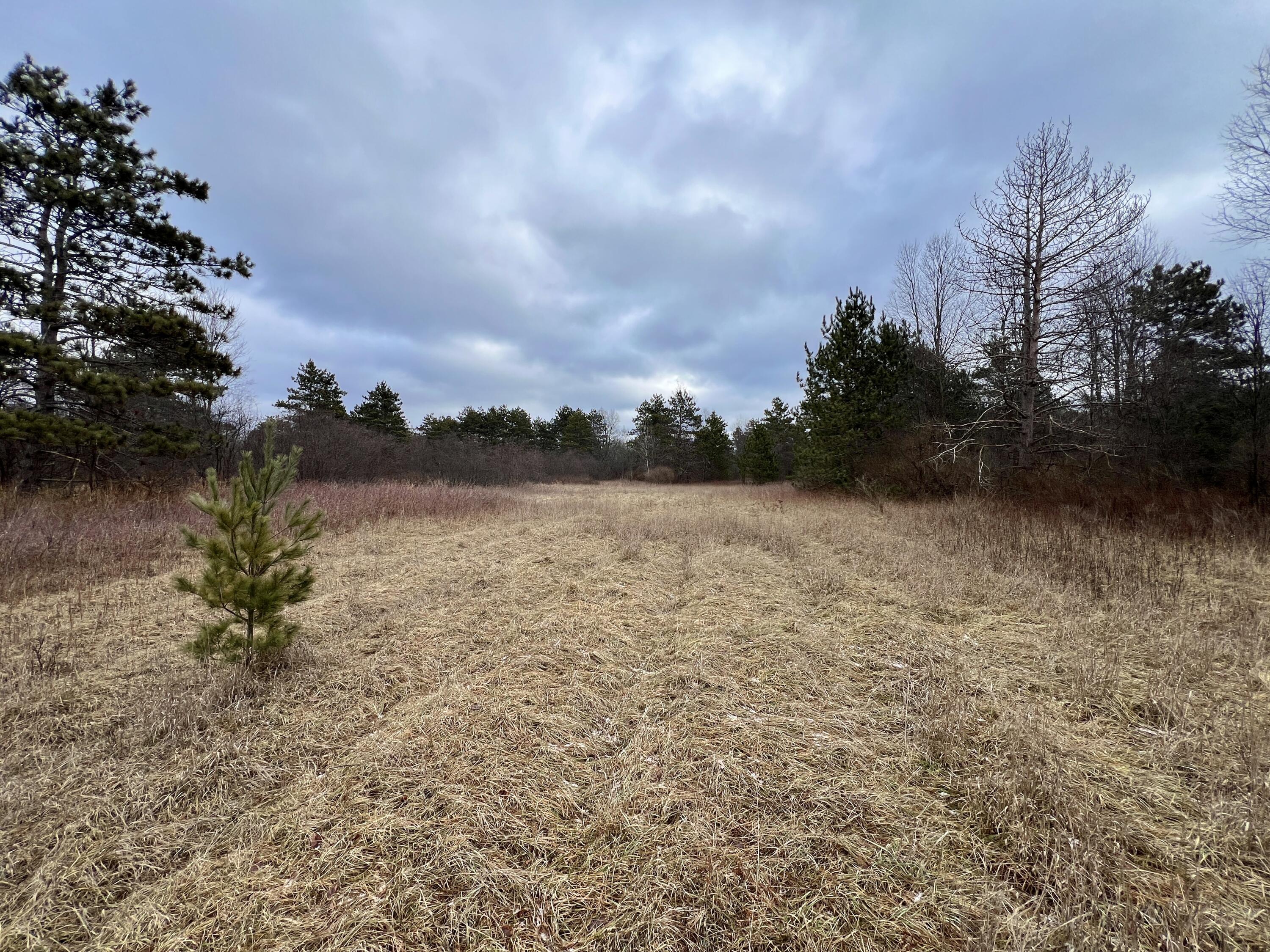 0 Nyrkkanen Road Kaleva, MI 49645 - Photo 9 of 18 IMG_4926 - Copy