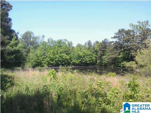 1271 Marvin Adcock Road Hayden, AL 35079 - Photo 3 of 3