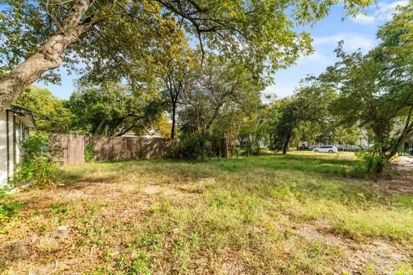 a view of a yard with trees