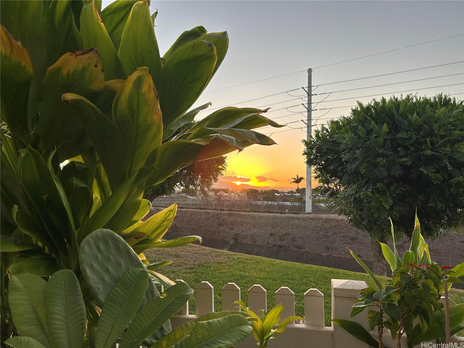 94-510 Lumiaina Street, Unit M103 Waipahu, HI 96797 - Photo 23 of 24 a view of banana tree