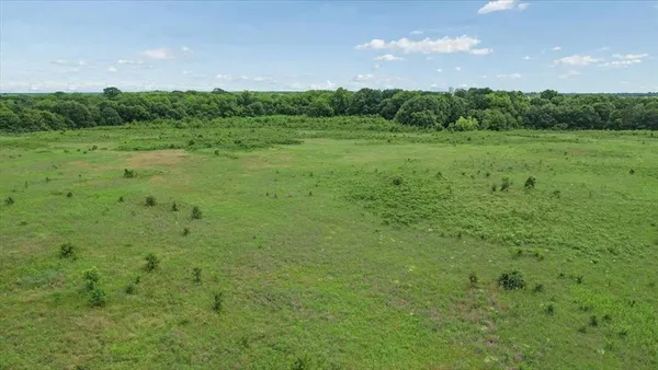 a view of a big yard with large trees