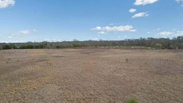 a view of field with trees in background